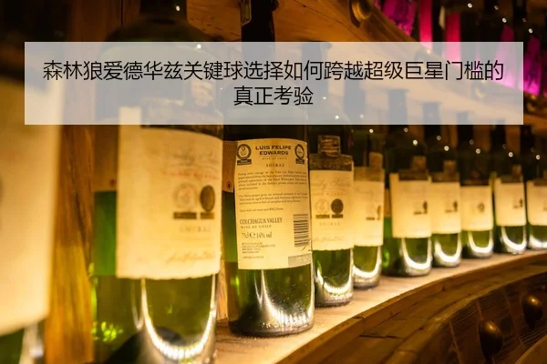 森林狼爱德华兹关键球选择如何跨越超级巨星门槛的真正考验