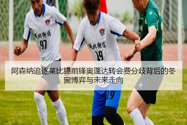 阿森纳追逐莱比锡前锋奥蓬达转会费分歧背后的冬窗博弈与未来走向